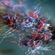 Illustration for article titled New Study of the Bizarre Disease Where Wires Grow in Your Skin